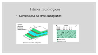 Filmes radiológicos
• Composição do filme radiográfico
 