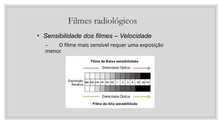 Filmes radiológicos
• Sensibilidade dos filmes – Velocidade
– O filme mais sensível requer uma exposição
menor.
 