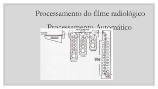 Processamento do filme radiológico
Processamento Automático
 