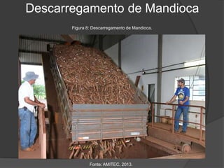 Descarregamento de Mandioca
Figura 8: Descarregamento de Mandioca.

Fonte: AMITEC, 2013.

 