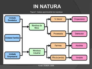 IN NATURA
Figura1: Cadeia agroindustrial da mandioca

Fonte: SOBER; 2009.

 