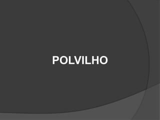 POLVILHO

 