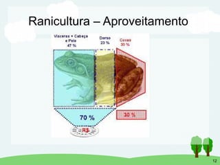 Processamento de carne de rã e seus subprodutos | PDF