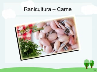 Processamento de carne de rã e seus subprodutos | PDF