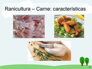 Processamento de carne de rã e seus subprodutos | PDF