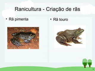 Processamento de carne de rã e seus subprodutos | PDF