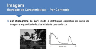 Imagem
Extração de Características – Por Conteúdo
 Cor (histograma de cor): mede a distribuição estatística de cores da
imagem e a quantidade de pixel existente para cada cor.
 