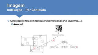 Imagem
Indexação – Por Conteúdo
 A indexação é feita com técnicas multidimensionais (Kd, Quad-tree,...).
Árvore-R
 