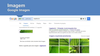 Imagem
Google Images
 