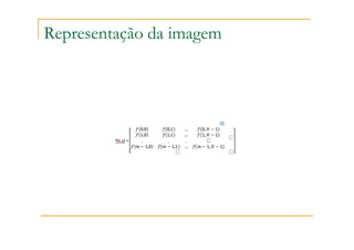 Representação da imagem
 