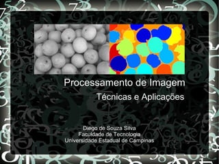 Processamento de Imagem
Técnicas e Aplicações
Diego de Souza Silva
Faculdade de Tecnologia
Universidade Estadual de Campinas
 