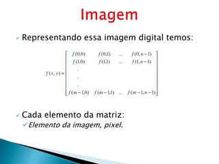    Representando essa imagem digital temos:




   Cada elemento da matriz:
    Elemento da imagem, pixel.
 