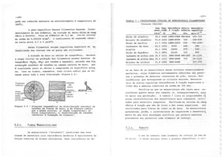 Processamento de polimeros