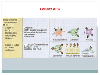 Células APC
 