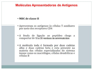 Moléculas Apresentadoras de Antígenos
 