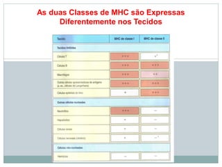 As duas Classes de MHC são Expressas
Diferentemente nos Tecidos
 