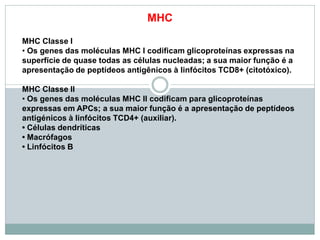 MHC
MHC Classe I
• Os genes das moléculas MHC I codificam glicoproteínas expressas na
superfície de quase todas as células nucleadas; a sua maior função é a
apresentação de peptídeos antigênicos à linfócitos TCD8+ (citotóxico).
MHC Classe II
• Os genes das moléculas MHC II codificam para glicoproteínas
expressas em APCs; a sua maior função é a apresentação de peptídeos
antigénicos à linfócitos TCD4+ (auxiliar).
• Células dendríticas
• Macrófagos
• Linfócitos B
 