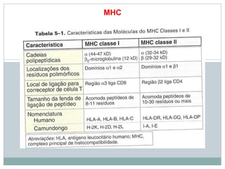 MHC
 