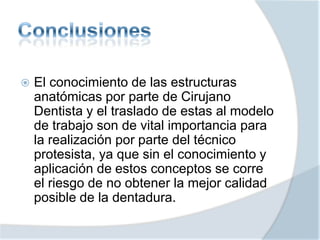  El conocimiento de las estructuras
anatómicas por parte de Cirujano
Dentista y el traslado de estas al modelo
de trabajo son de vital importancia para
la realización por parte del técnico
protesista, ya que sin el conocimiento y
aplicación de estos conceptos se corre
el riesgo de no obtener la mejor calidad
posible de la dentadura.
 