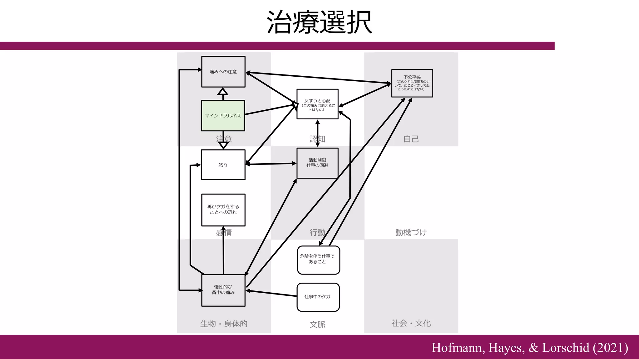 治療選択
Hofmann, Hayes, & Lorschid (2021)
 