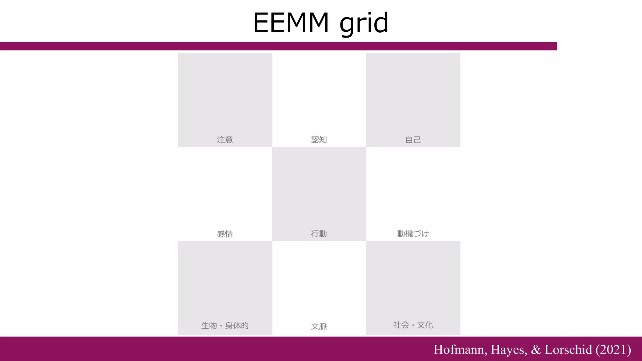 EEMM grid
Hofmann, Hayes, & Lorschid (2021)
 