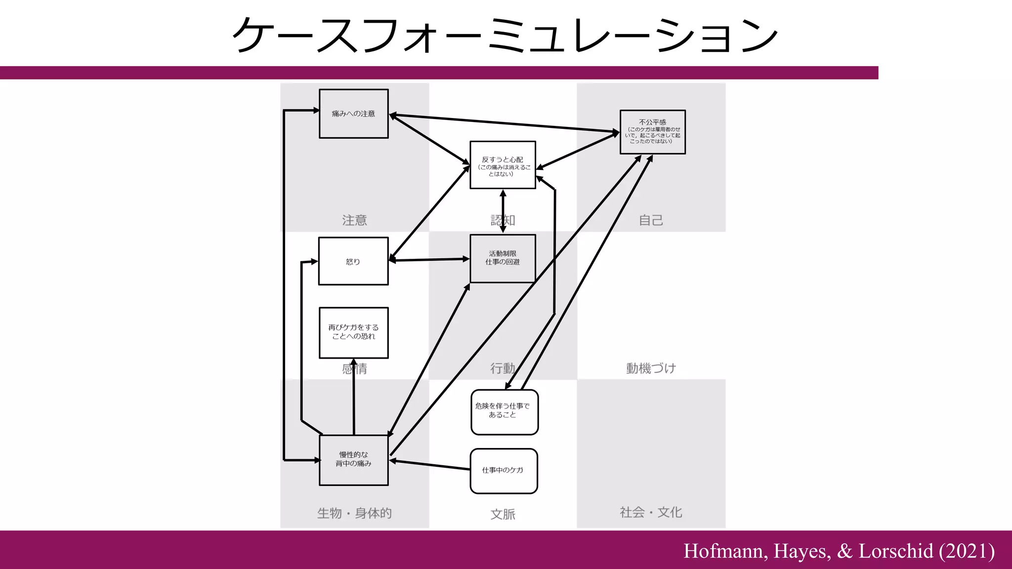 ケースフォーミュレーション
Hofmann, Hayes, & Lorschid (2021)
 