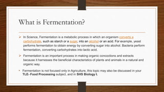 Concoctions Examples PROCESS CONCOCTIONS.pptx