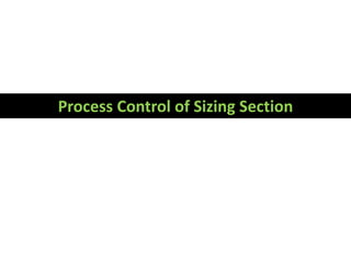 Process Control of Sizing Section
 