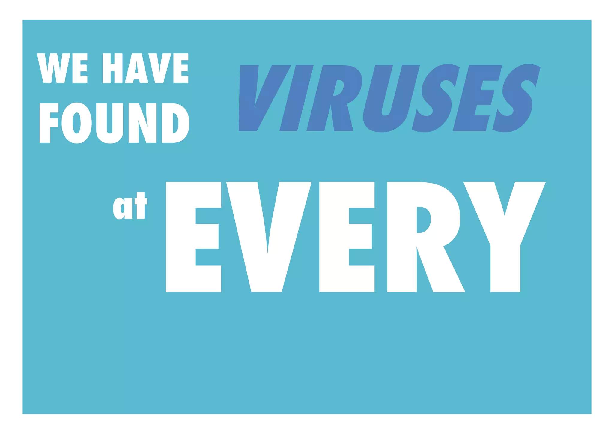 VIRUSES
WE HAVE
FOUND

        EVERY
   at
 