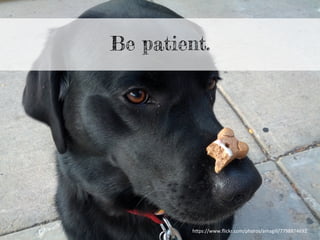 Be patient.
h"ps://www.ﬂickr.com/photos/amagill/7798874692	
  
 