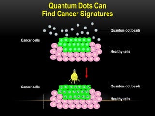 Quantum Dots Can
Find Cancer Signatures
Cancer cells
Healthy cells
Quantum dot beads
Quantum dot beads
Healthy cells
Cancer cells
 