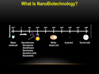 What Is NanoBiotechnology?
Nanodevices
Nanopores
Dendrimers
Nanotubes
Quantum dots
Nanoshells
Tennis ballA periodWhite
blood cell
Water
molecule
 