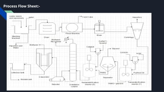 Process Design & Development for Manufacture of Biolubricants (1).pptx