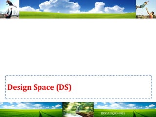 Design Space (DS)
 