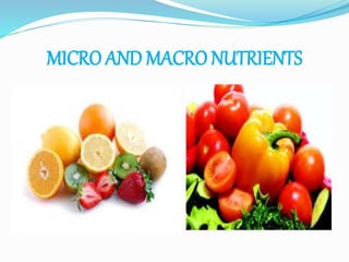 MICRO AND MACRO NUTRIENTS
 