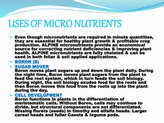 USES OF MICRO NUTRIENTS
 Even though micronutrients are required in minute quantities,
they are essential for healthy plant growth & profitable crop
production. ALPINE micronutrients provide an economical
source for correcting nutrient deficiencies & improving plant
health. ALPINE micronutrients are fully chelated & can be
used in both foliar & soil applied applications.
 BORON (B)
 SUGAR MOVER
Boron moves plant sugars up and down the plant daily. During
the night time, Boron moves plant sugars from the plant to
feed the root system, which in turn feeds the soil biology.
During night, the soil biology exudes food for the roots and
then Boron moves this food from the roots up into the plant
during the day.
 CELL DEVELOPMENT
Boron functions in plants in the differentiation of
meristematic cells. Without Boron, cells may continue to
divide, but structural components are not differentiated.
Missing florets (seeds) in timothy and alfalfa heads. Larger
cereal heads and fuller Canola & legume pods.
 