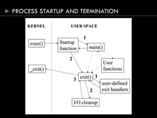 PROCESS STARTUP AND TERMINATION
 