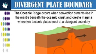 DIVERGENT PLATE BOUNDARY
The Oceanic Ridge occurs when convection currents rise in
the mantle beneath the oceanic crust and create magma
where two tectonic plates meet at a divergent boundary
 
