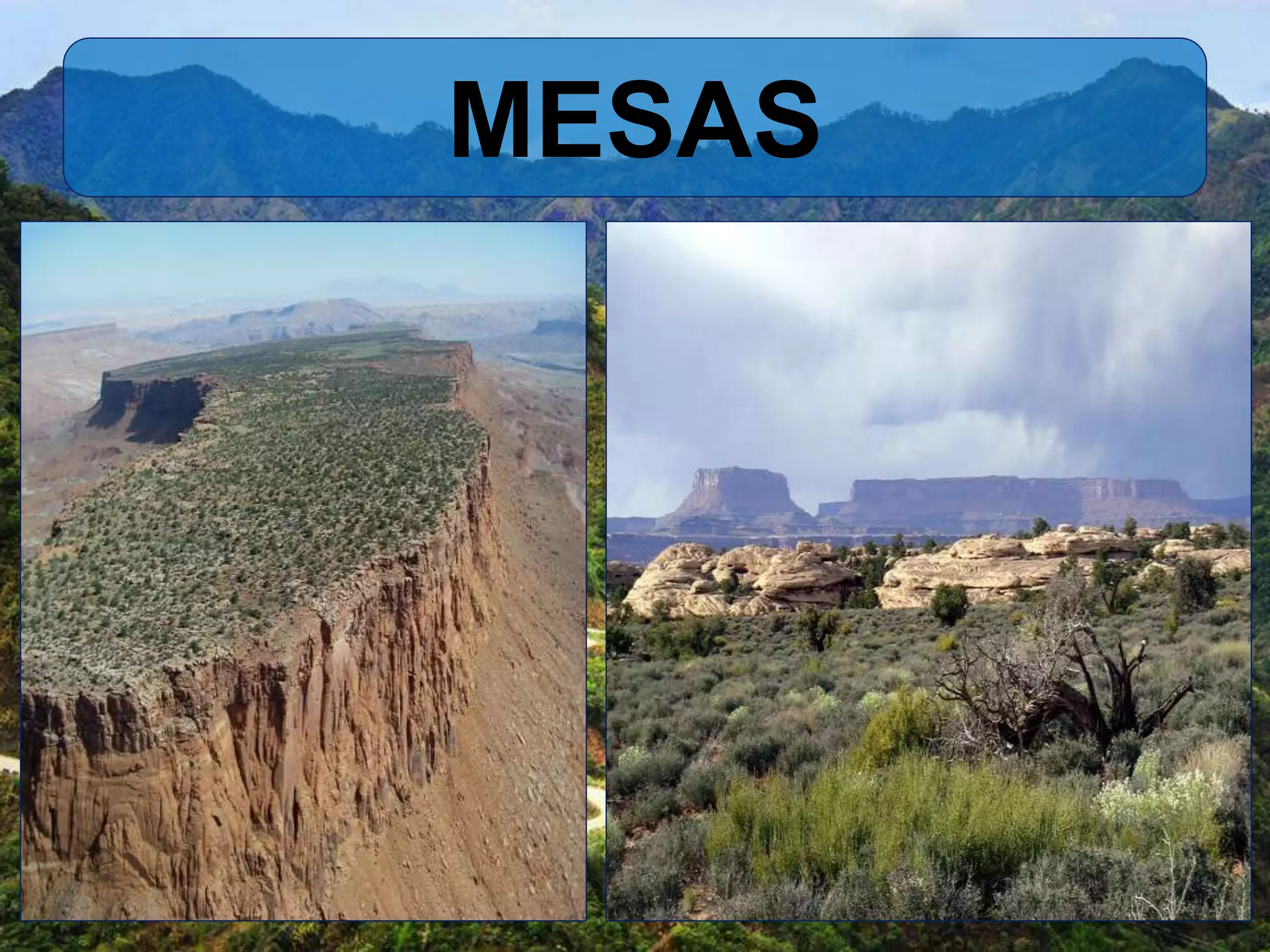 MESAS
 