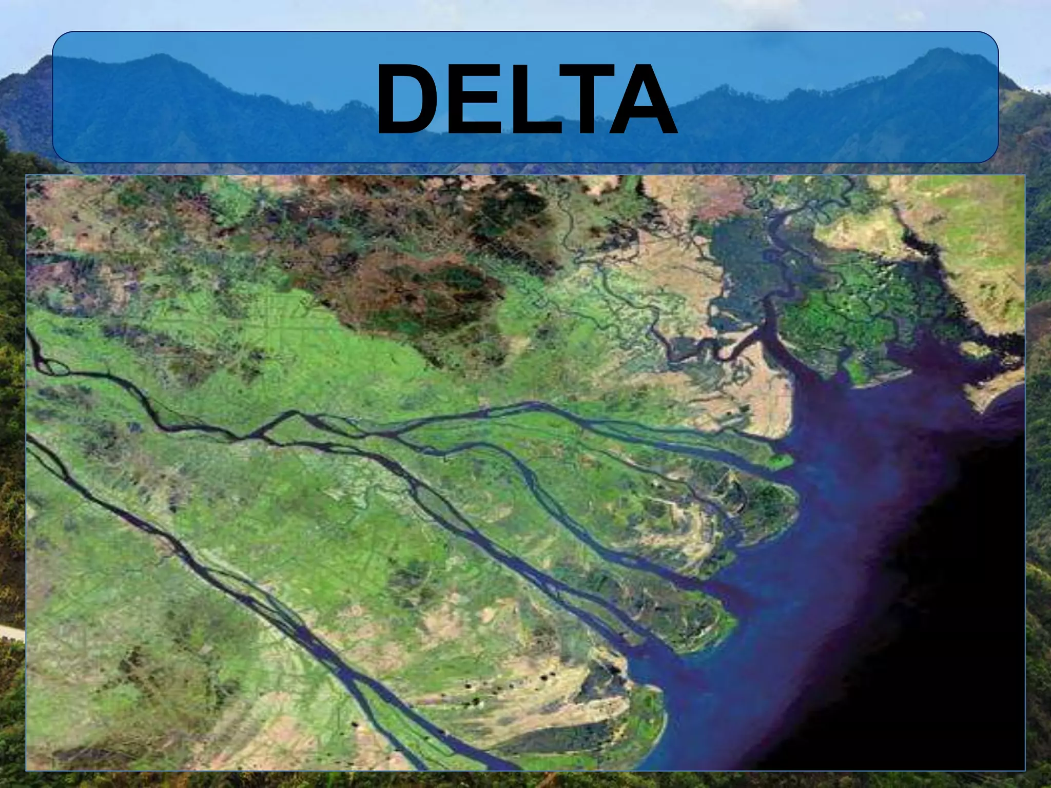 DELTA
 