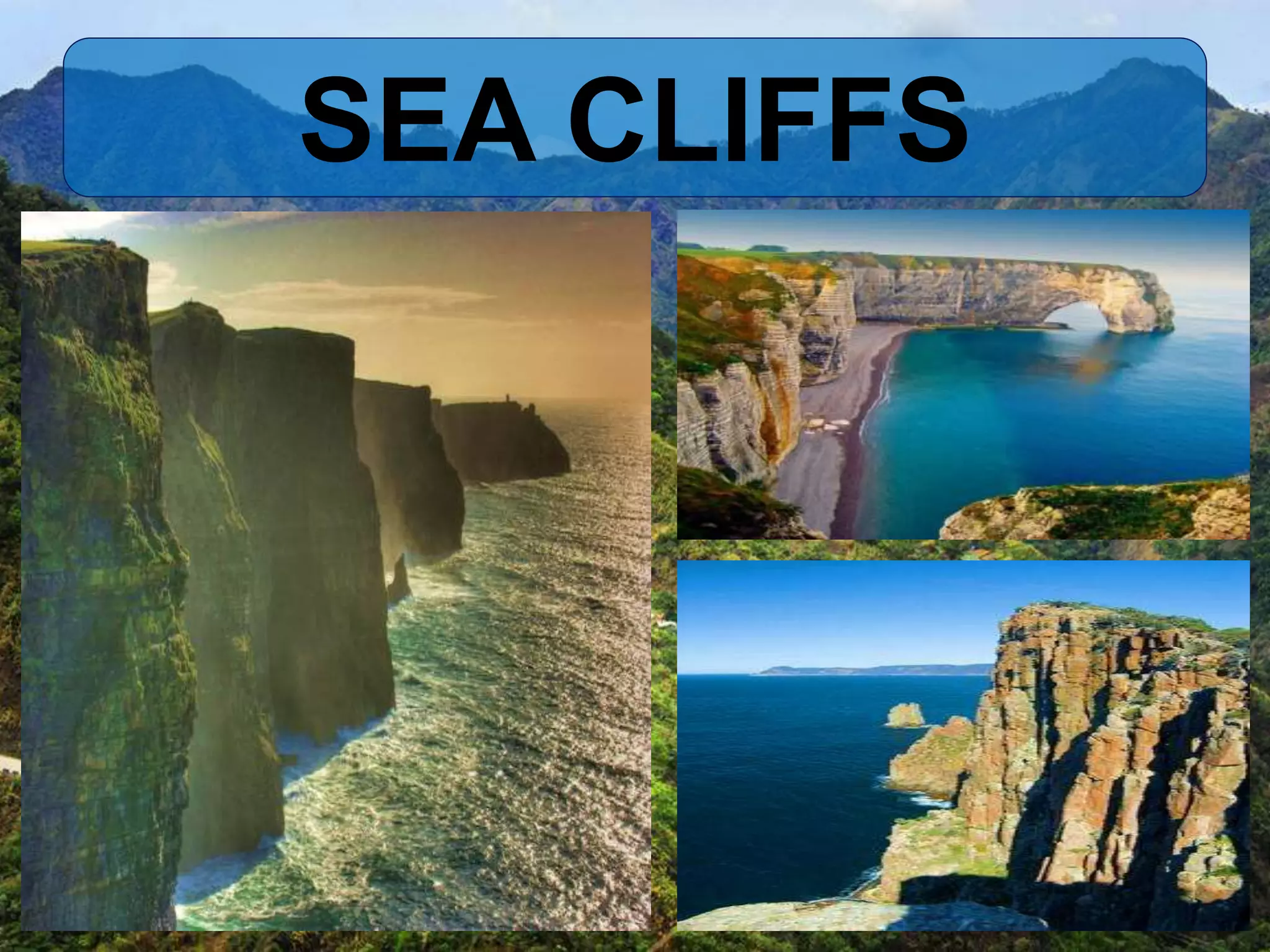 SEA CLIFFS
 