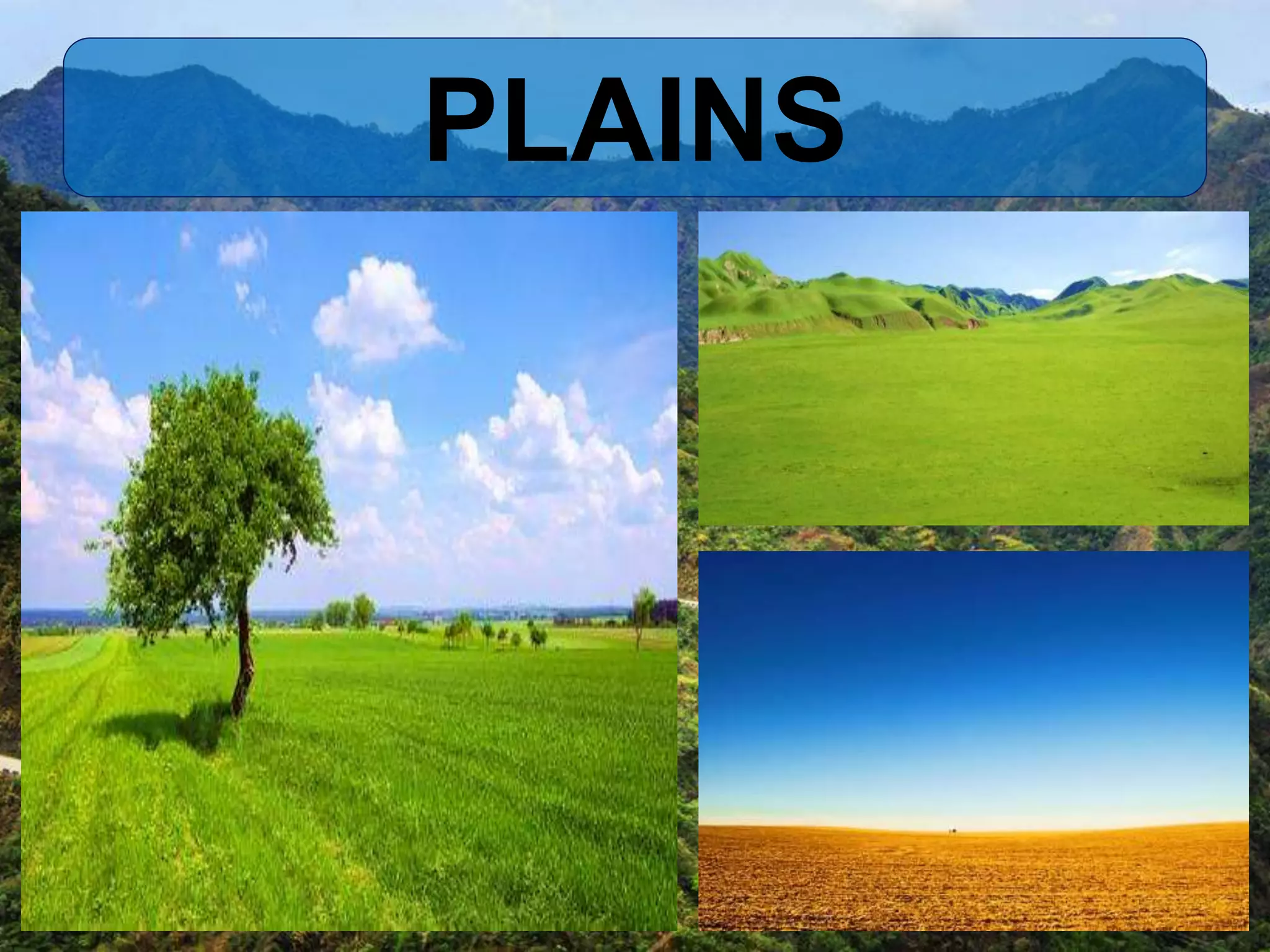 PLAINS
 