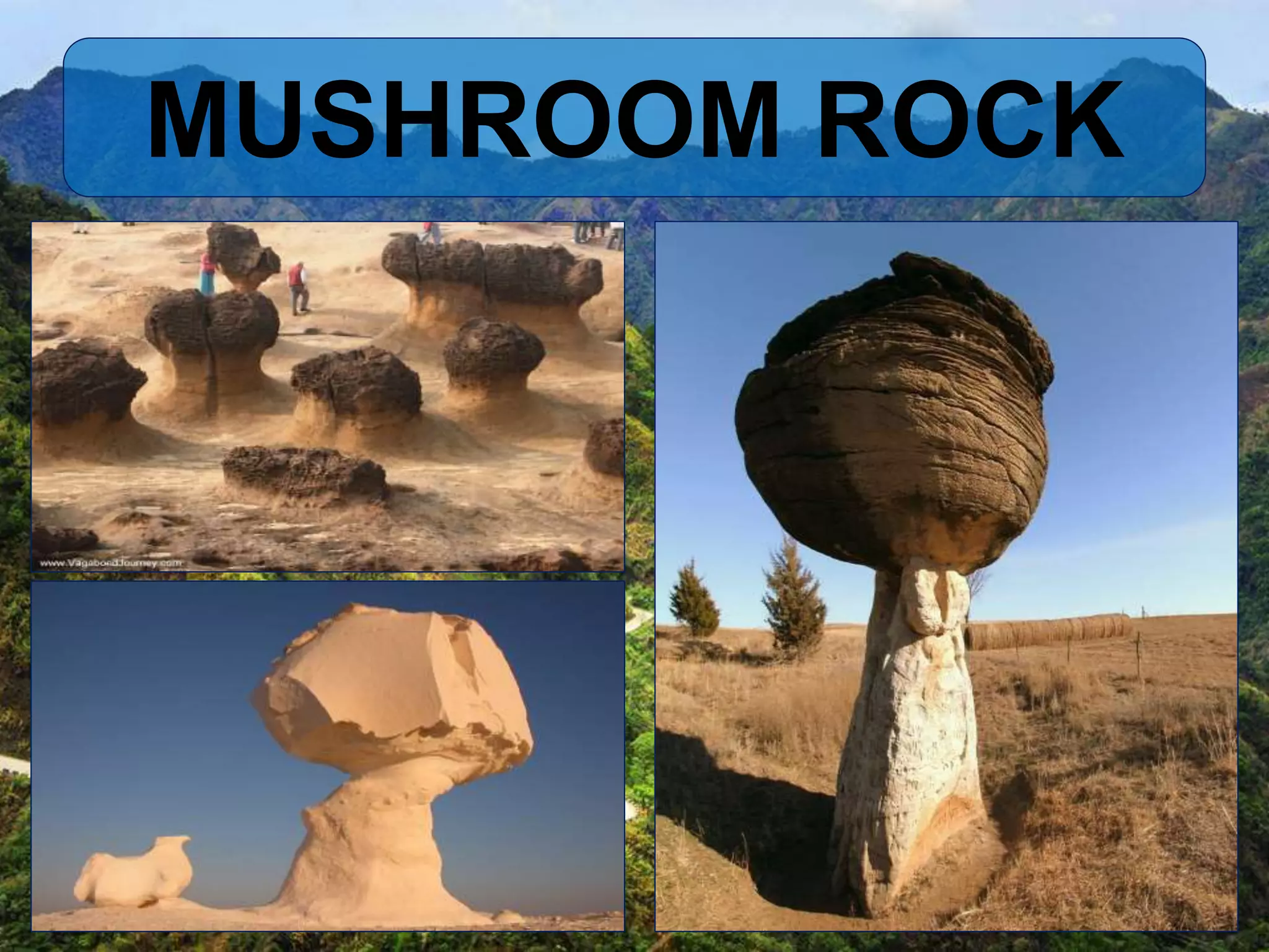 MUSHROOM ROCK
 