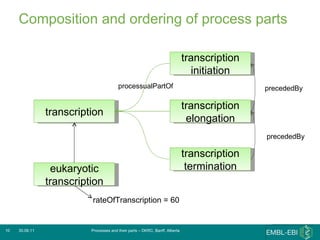 Composition and ordering of process parts 30.06.11 Processes and their parts – DKRC, Banff, Alberta transcription transcription initiation transcription elongation transcription termination precededBy precededBy eukaryotic transcription rateOfTranscription = 60 processualPartOf 