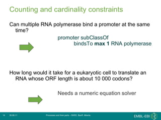 Counting and cardinality constraints Can multiple RNA polymerase bind a promoter at the same time? promoter subClassOf  bindsTo  max 1  RNA polymerase  How long would it take for a eukaryotic cell to translate an RNA whose ORF length is about 10 000 codons?  Needs a numeric equation solver 30.06.11 Processes and their parts – DKRC, Banff, Alberta 