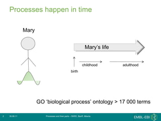 Processes happen in time 30.06.11 Processes and their parts – DKRC, Banff, Alberta GO ‘biological process’ ontology > 17 000 terms Mary birth Mary’s life childhood adulthood 