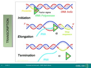 30.06.11 Processes and their parts – DKRC, Banff, Alberta TRANSCRIPTION 