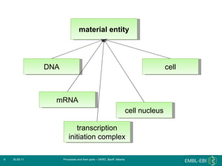 30.06.11 Processes and their parts – DKRC, Banff, Alberta material entity DNA mRNA cell nucleus cell transcription initiation complex 