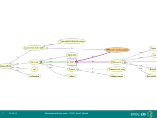 30.06.11 Processes and their parts – DKRC, Banff, Alberta 