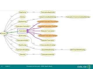 30.06.11 Processes and their parts – DKRC, Banff, Alberta 